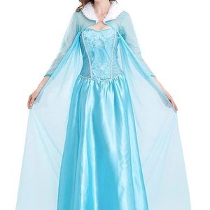 WOMEN’S FROZEN ELSA COSTUME DRESS ❄️